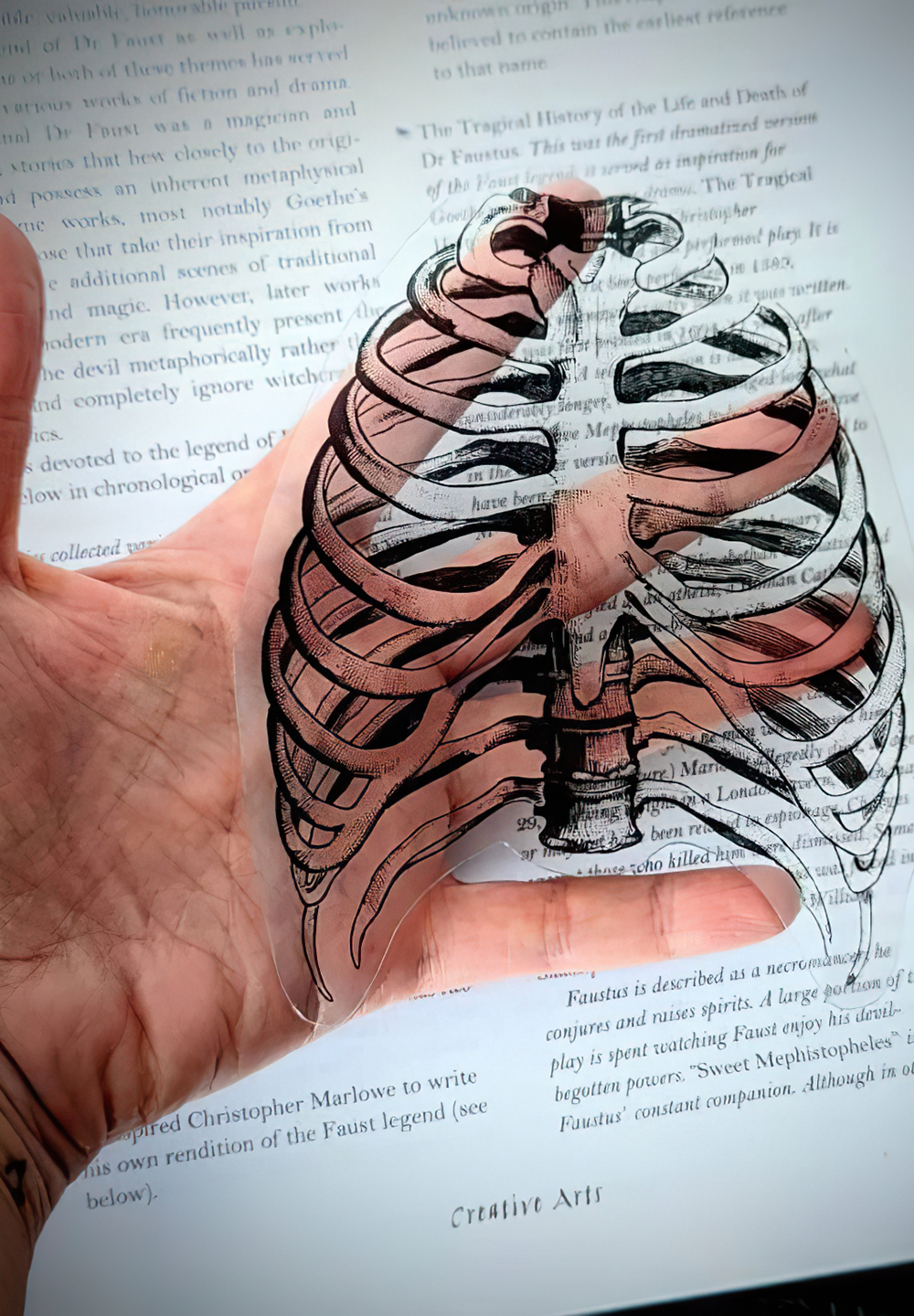 My Body is a (Rib)cage