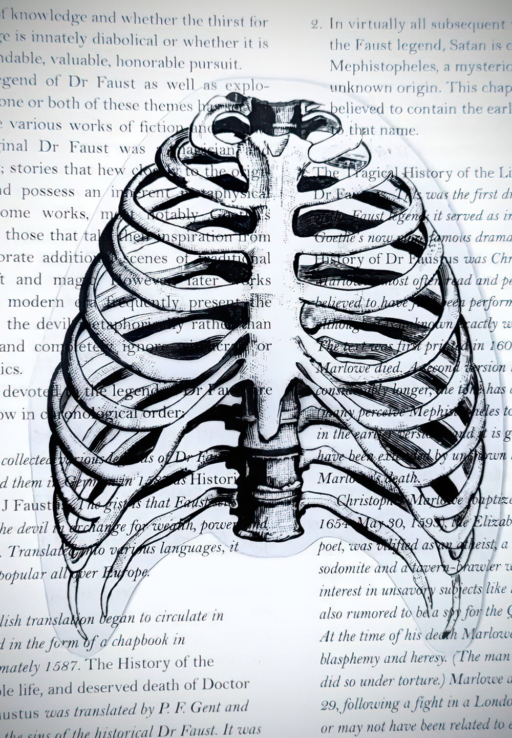 My Body is a (Rib)cage