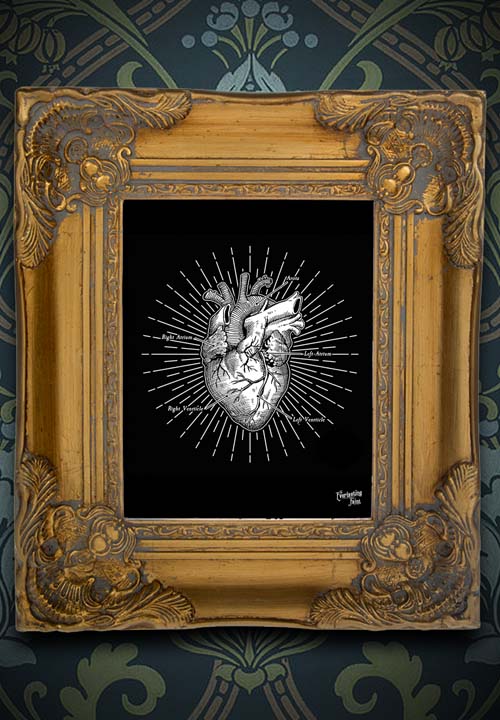 Anatomical Heart Print